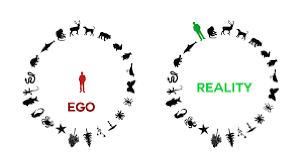 anthropocentrisme.png