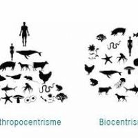 Biocentrisme.jpg