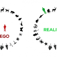 anthropocentrisme.png