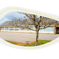 école bulle.png